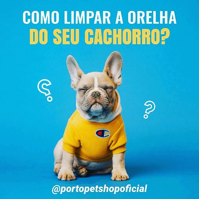 limpar orelha de cachorro