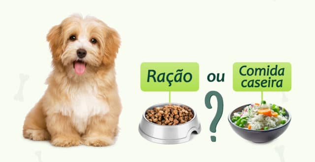 alimentação caseira para cachorro